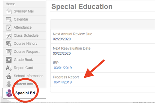 SPED Report Cards